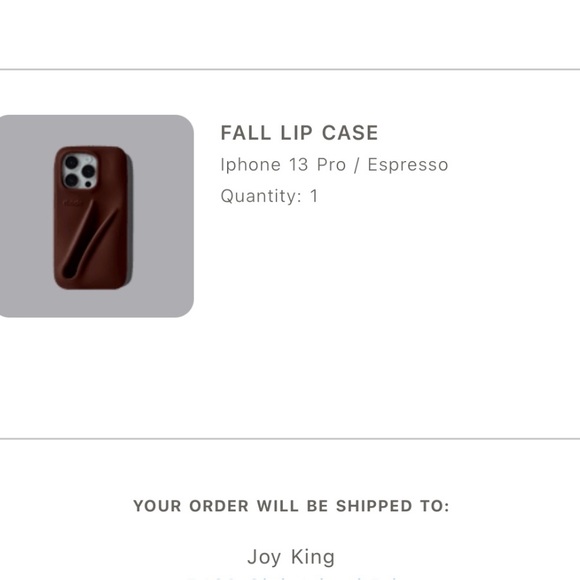 Rhode Fall Lip Case for IPhone 13Pro Espresso - Picture 4 of 4